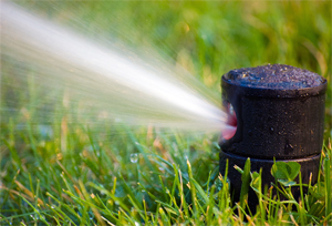 a pop sprinkler head repaired by our team