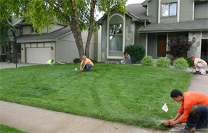our Ottawa irrigation contractors are checking the new installed system